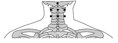 DT.03